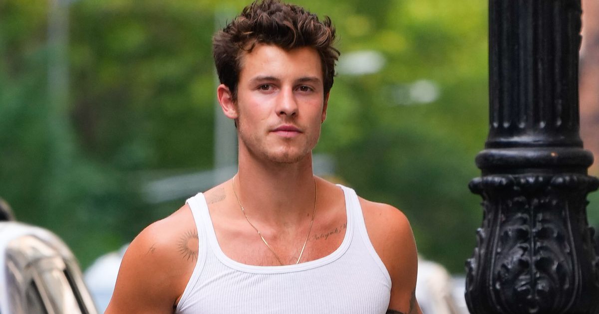 Big Brother Fans Will Definitely Recognise The Woman In Those Shawn Mendes Beach Pictures – The TechLead