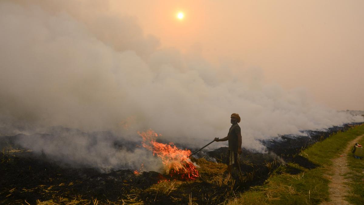 Centre faults Punjab’s farm fires for Delhi’s air pollution problem – The TechLead