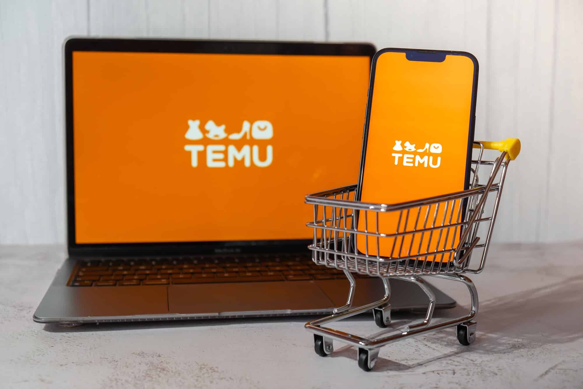 Temu Statistics – An Analysis of Their Reach and Performance – The TechLead