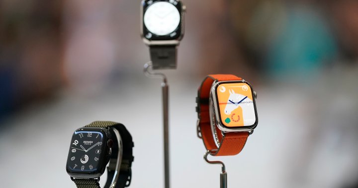 Apple wins appeal to pause U.S. ban on some watch imports – National – The TechLead