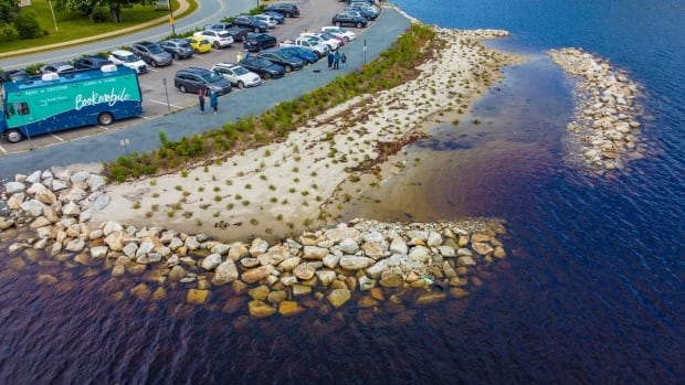 Local groups say new funding will help promote living shorelines in N.S. – The TechLead