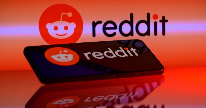 Reddit seeks US$6.4B valuation in much-awaited IPO – National – The TechLead