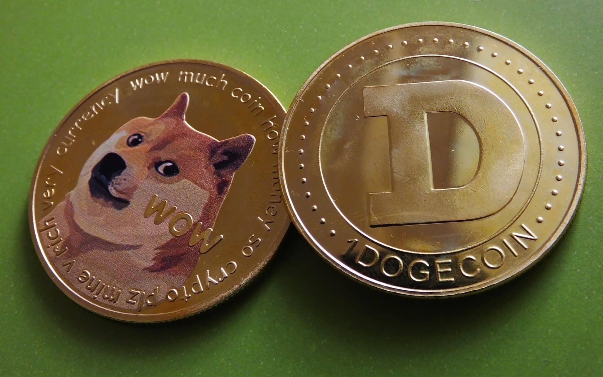 Dogecoin (DOGE) Price Hits $0.20 as Doge Day Approaches; Is $1 Incoming? – The TechLead