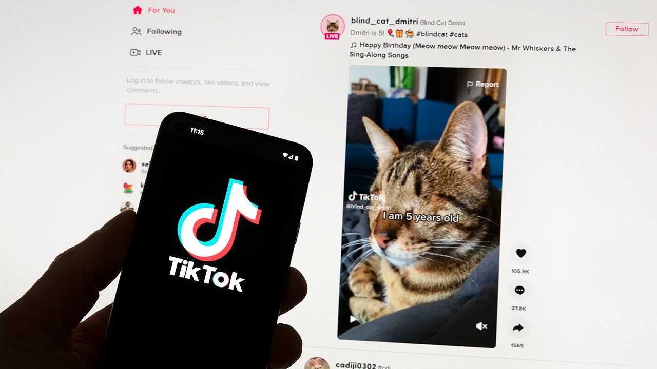 European Union reviewing details from TikTok on the video platform’s new app that pays users to watch content – The TechLead