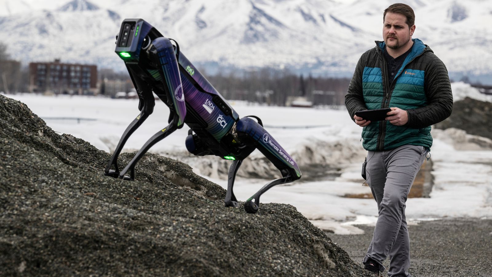 Headless, dog-sized robot to patrol Alaska airport to prevent bird strikes | Science & Tech News – The TechLead