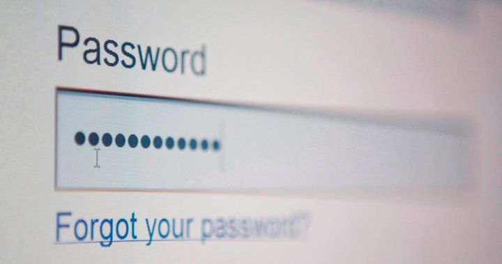 U.K. bans generic passwords over cybersecurity concerns. Should Canada be next? – National – The TechLead