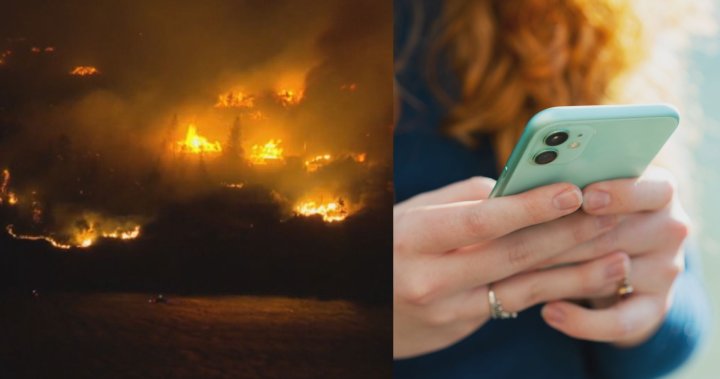 Be ready ‘for anything’ after wildfires hit telecom lines, official warns – The TechLead