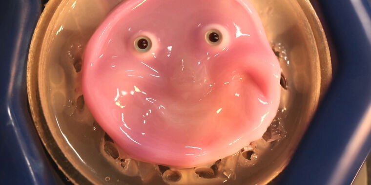 Researchers craft smiling robot face from living human skin cells – The TechLead
