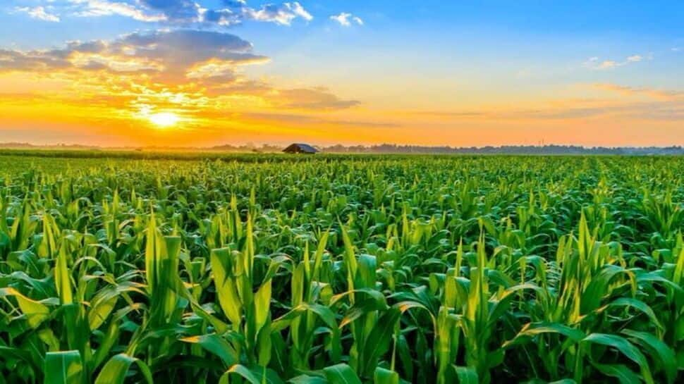 Space Technology and Agriculture: How Space Derived Data is Revolutionizing Farming Practices | Science & Environment News – The TechLead