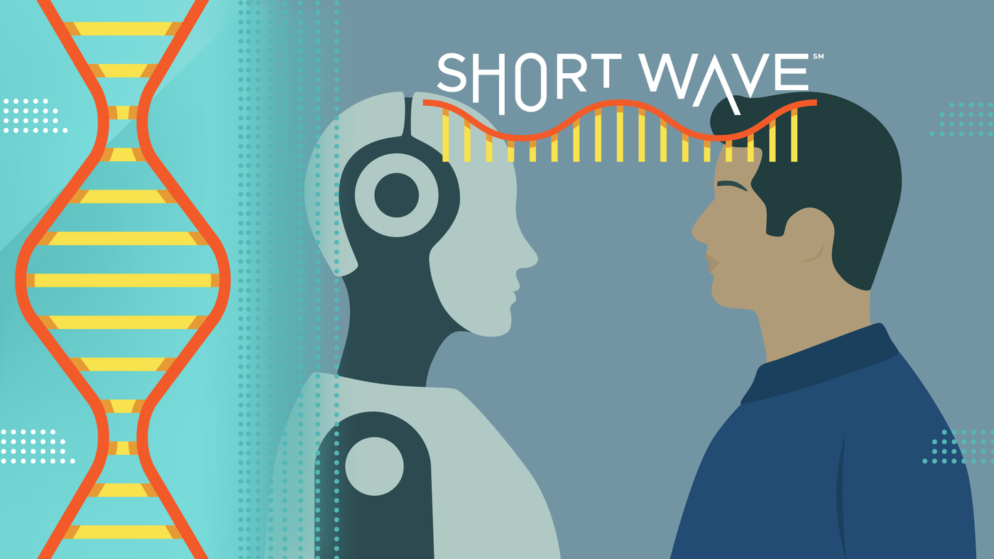 Your robot-friend could be making you more lonely : Short Wave : NPR – The TechLead