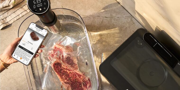 Smart sous vide cooker to start charging $2/month for 10-year-old companion app – The TechLead