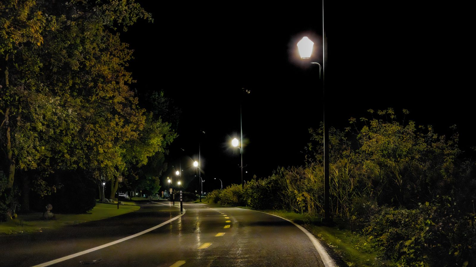 Leaving streetlights on all night appears to be changing how nature works, study finds | Science & Tech News – The TechLead