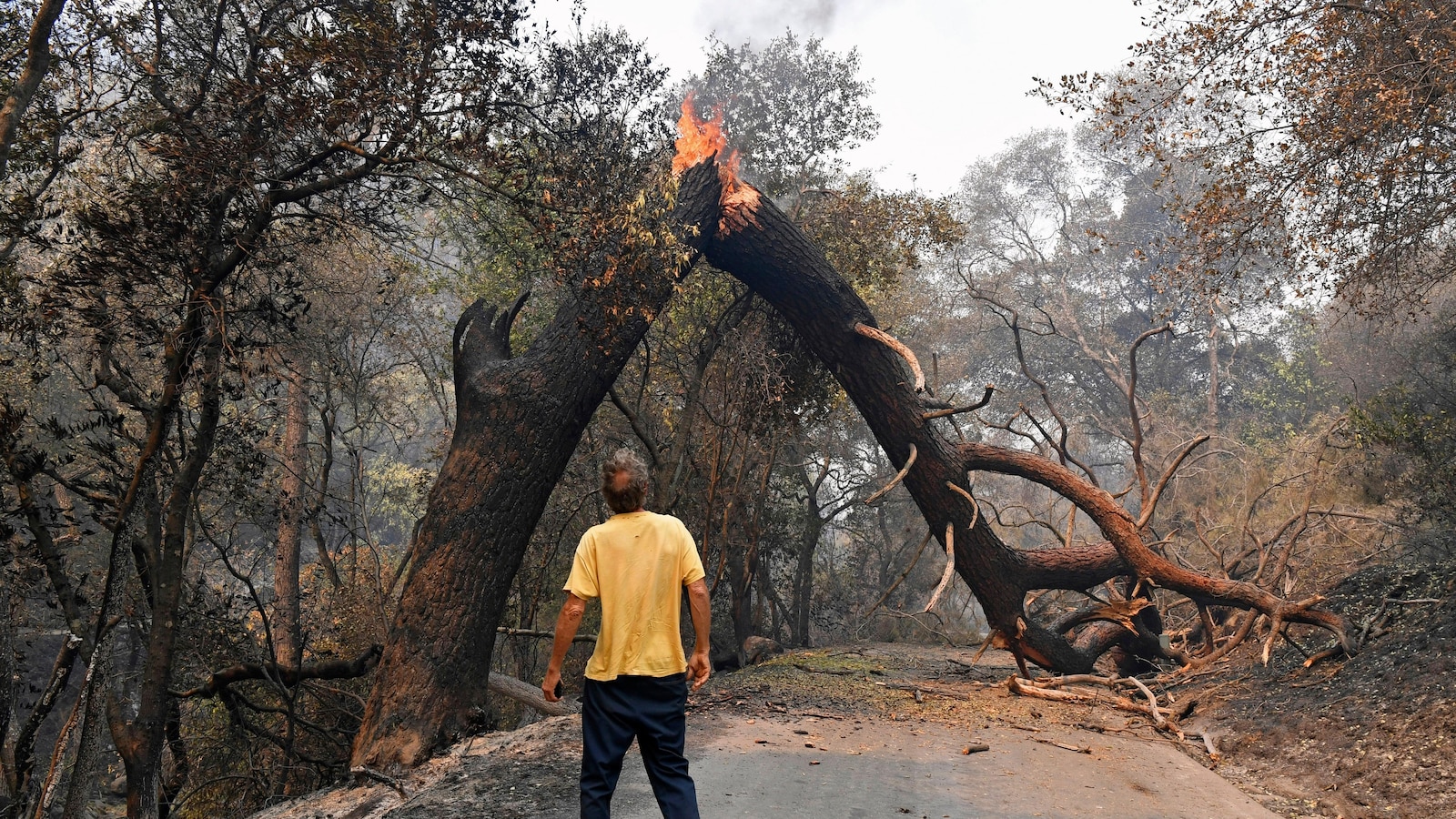 Wildfires are growing under climate change, and their smoke threatens farmworkers, study says – The TechLead