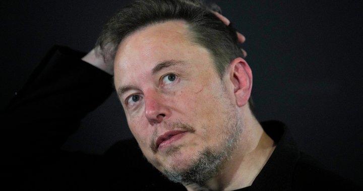 Brazilian judge suspends Elon Musk’s X platform nationwide – National – The TechLead